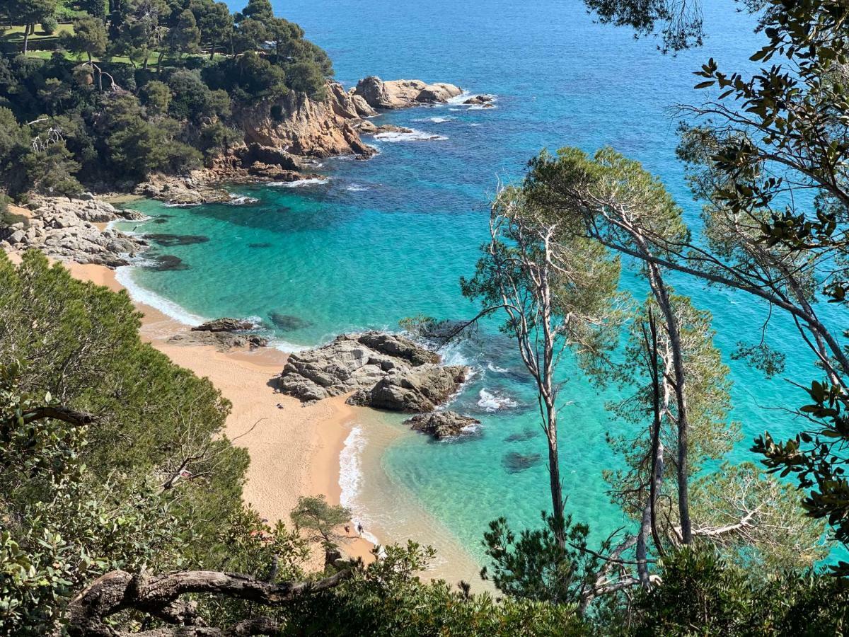 Apartments Paradise Lloret 滨海略雷特 外观 照片